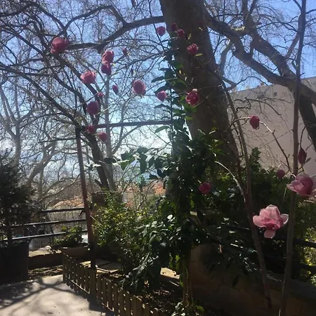 Lejlighed Victoria's